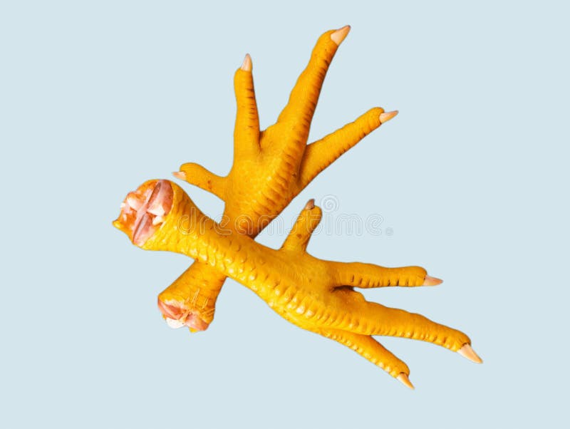 Broiler Chicken Feet